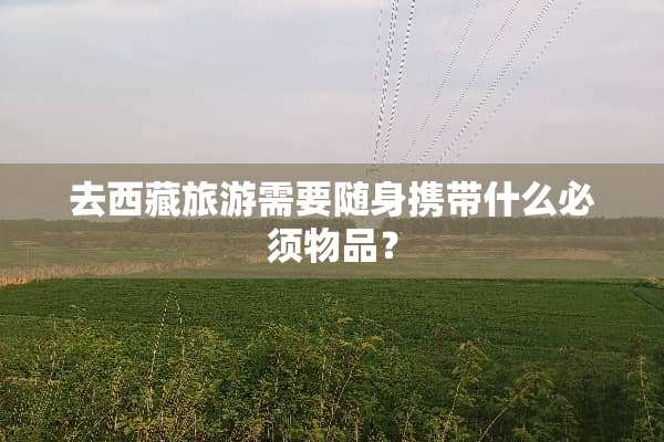 去西藏旅游需要随身携带什么必须物品？