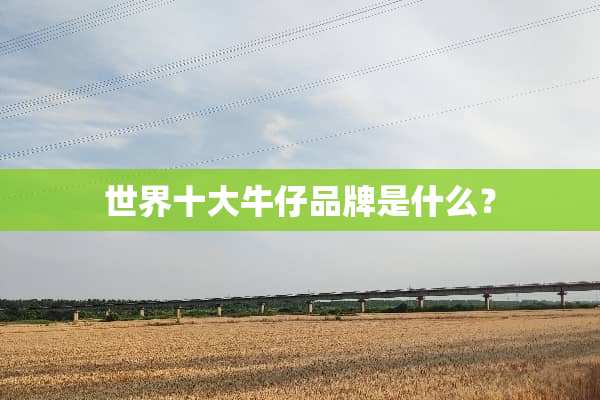 世界十大牛仔品牌是什么？
