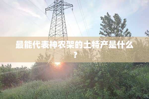 最能代表神农架的土特产是什么？