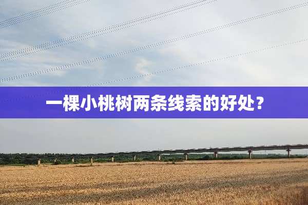 一棵小桃树两条线索的好处？