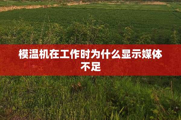 模温机在工作时为什么显示媒体不足