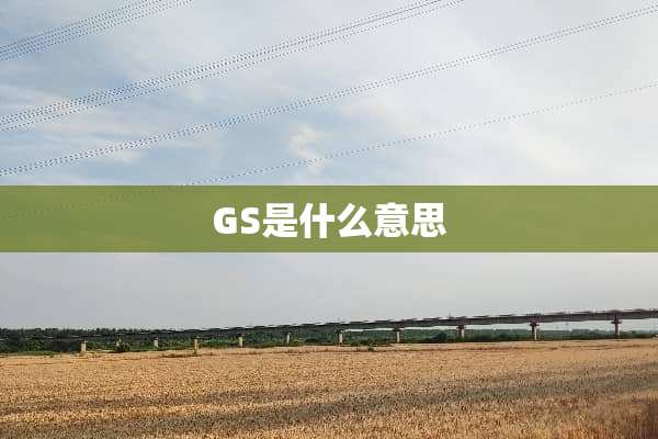 GS是什么意思