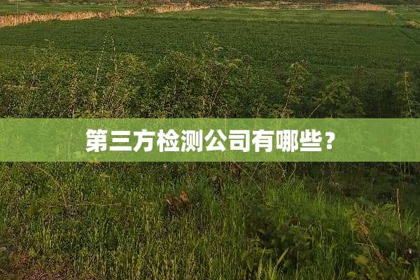 第三方检测公司有哪些？