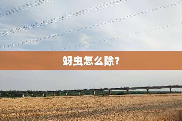 蚜虫怎么除？