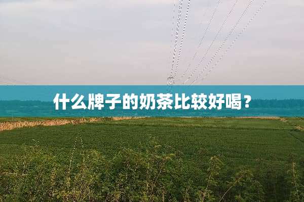 什么牌子的奶茶比较好喝？