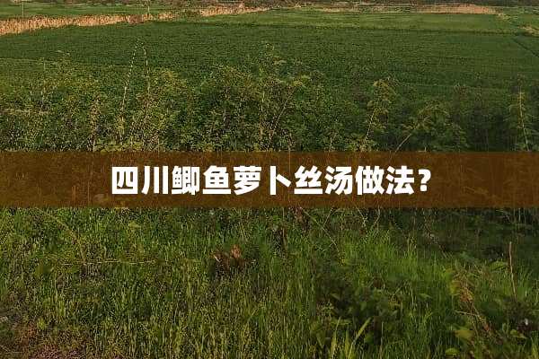 四川鲫鱼萝卜丝汤做法？