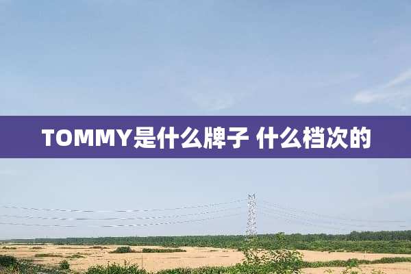 TOMMY是什么牌子 什么档次的