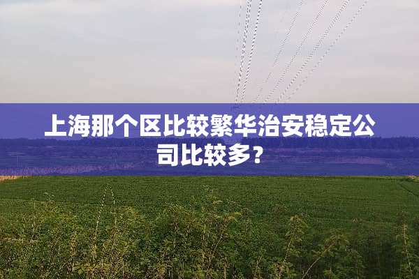 上海那个区比较繁华治安稳定公司比较多？