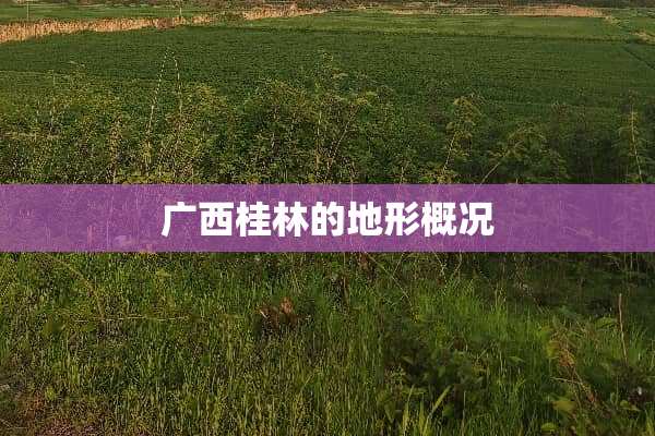 广西桂林的地形概况