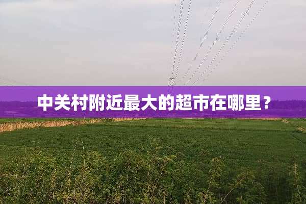 中关村附近最大的超市在哪里？