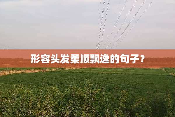 形容头发柔顺飘逸的句子？