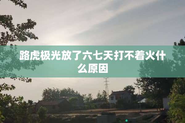 路虎极光放了六七天打不着火什么原因
