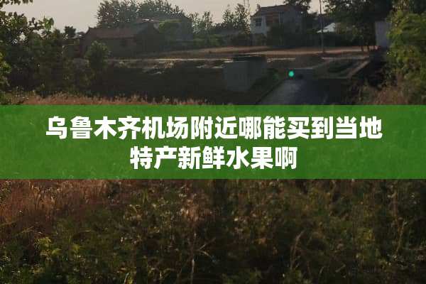 乌鲁木齐机场附近哪能买到当地特产新鲜水果啊