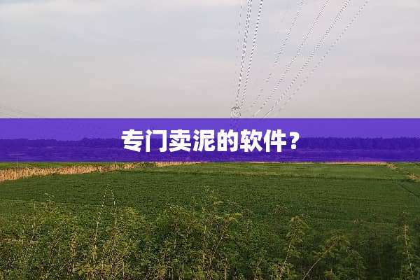 专门卖泥的软件？
