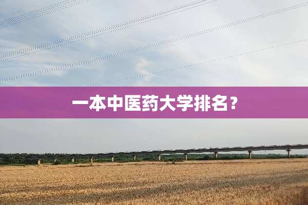 一本中医药大学排名？