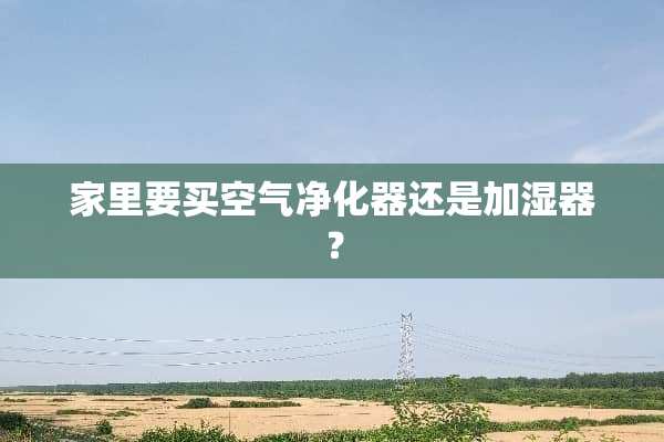 家里要买空气净化器还是加湿器？