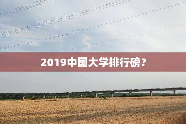 2019中国大学排行磅？