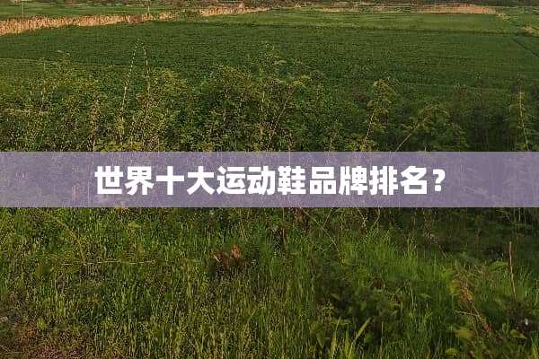 世界十大运动鞋品牌排名？