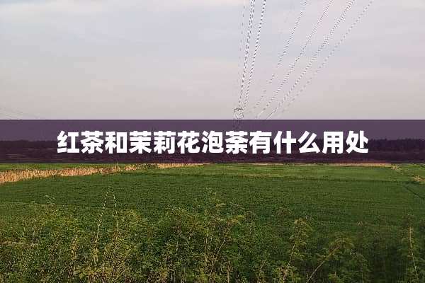 红茶和茉莉花泡荼有什么用处