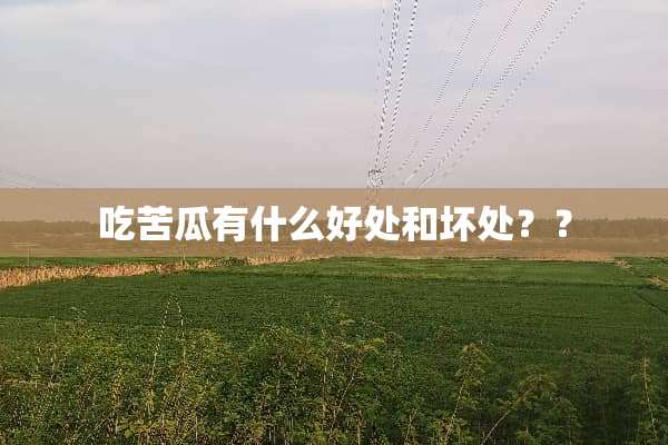 吃苦瓜有什么好处和坏处？？