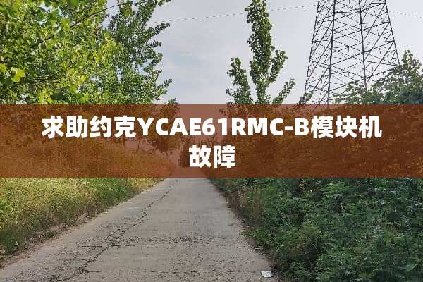 求助约克YCAE61RMC-B模块机故障