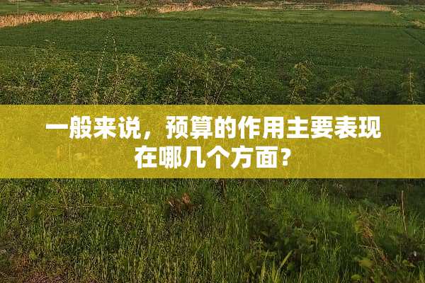 一般来说，预算的作用主要表现在哪几个方面？