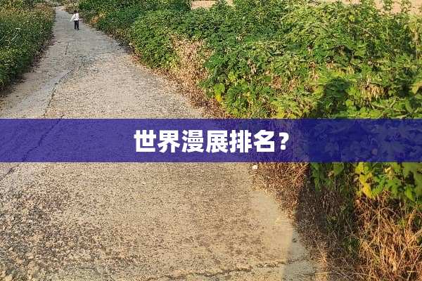 世界漫展排名？