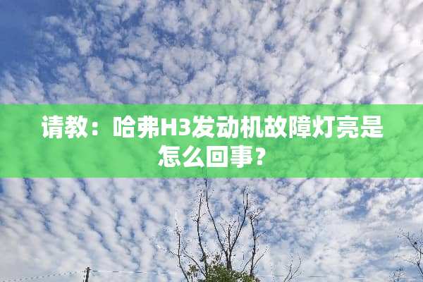 请教：哈弗H3发动机故障灯亮是怎么回事？