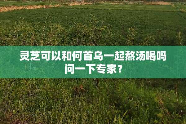 灵芝可以和何首乌一起熬汤喝吗问一下专家？