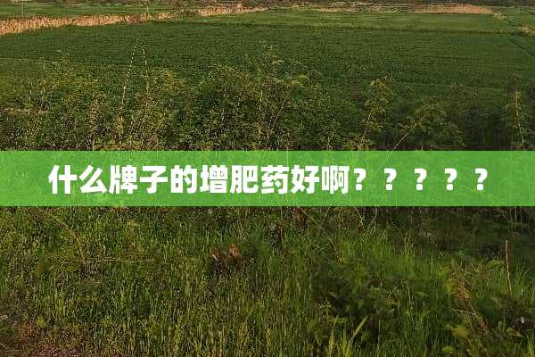 什么牌子的增肥药好啊？？？？？