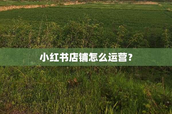 小红书店铺怎么运营？