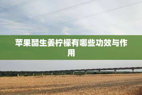 苹果醋生姜柠檬有哪些功效与作用