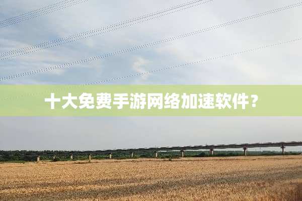 十大免费手游网络加速软件？