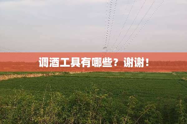 调酒工具有哪些？谢谢！