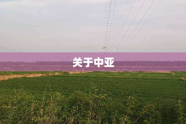 关于中亚