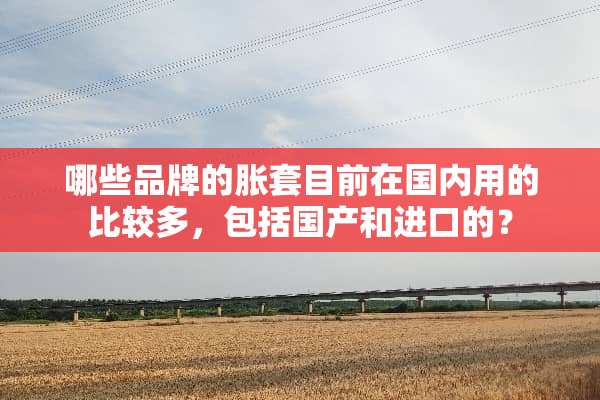 哪些品牌的胀套目前在国内用的比较多，包括国产和进口的？