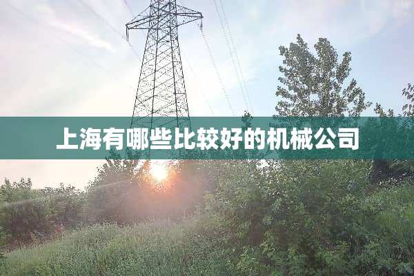 上海有哪些比较好的机械公司