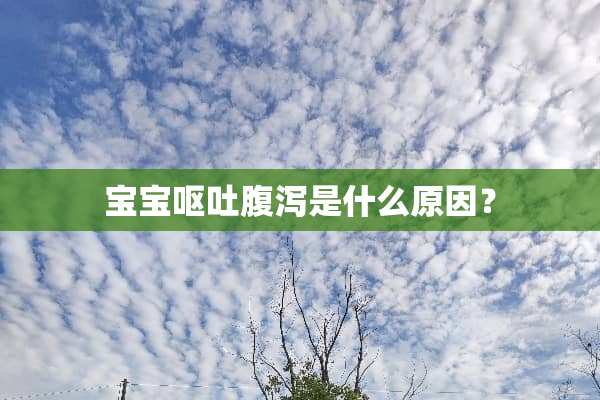 宝宝呕吐腹泻是什么原因？