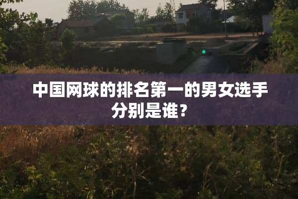 中国网球的排名第一的男女选手分别是谁？