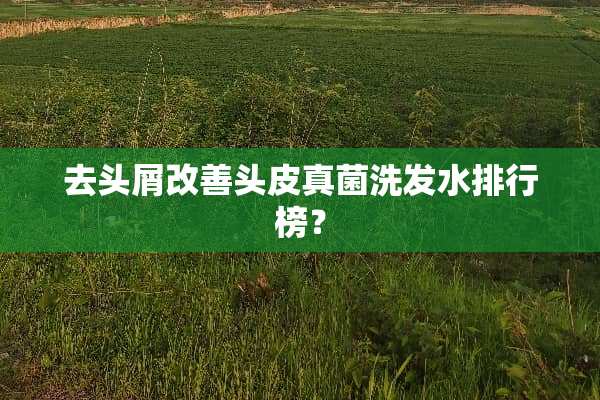 去头屑改善头皮真菌洗发水排行榜？