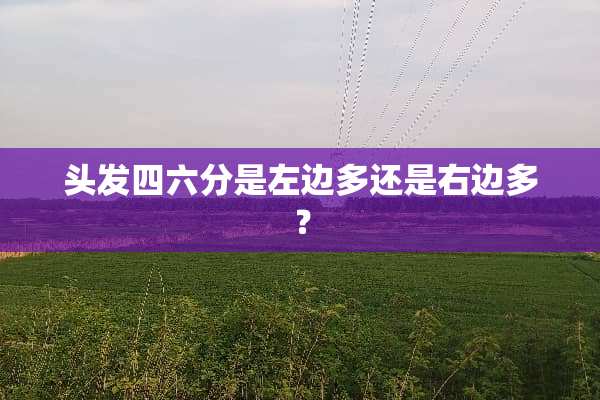 头发四六分是左边多还是右边多？