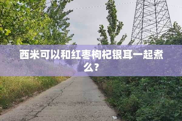 西米可以和红枣枸杞银耳一起煮么？
