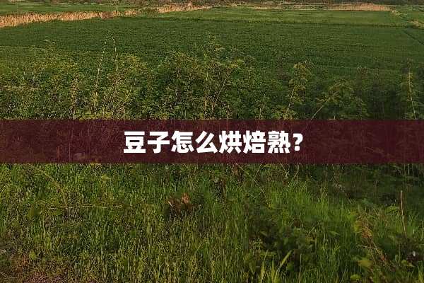 豆子怎么烘焙熟？