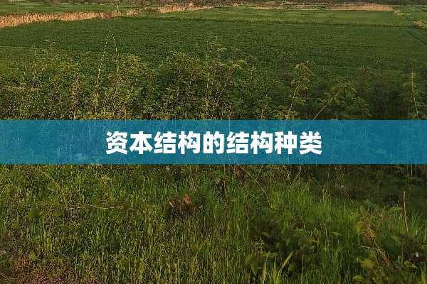 资本结构的结构种类