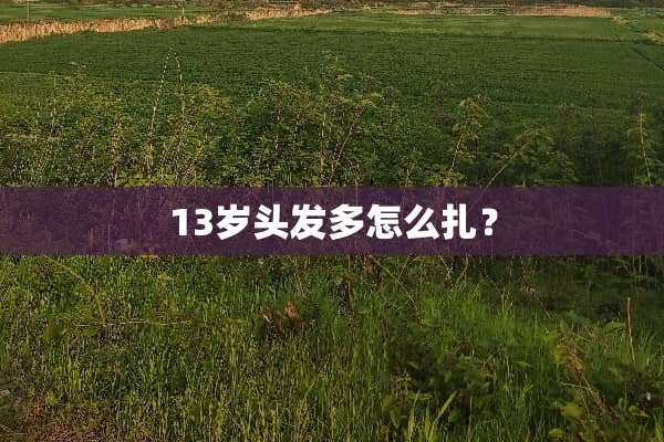 13岁头发多怎么扎？