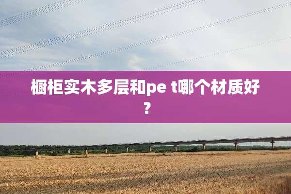 橱柜实木多层和pe t哪个材质好？
