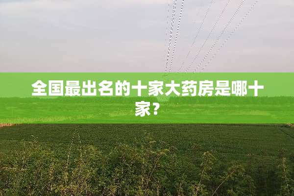 全国最出名的十家大药房是哪十家？