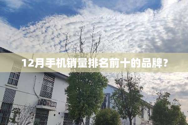 12月手机销量排名前十的品牌？
