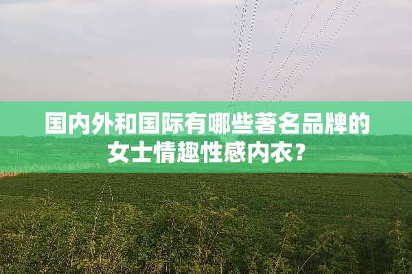 国内外和国际有哪些著名品牌的女士情趣****？