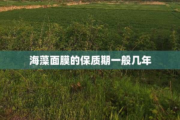海藻面膜的保质期一般几年